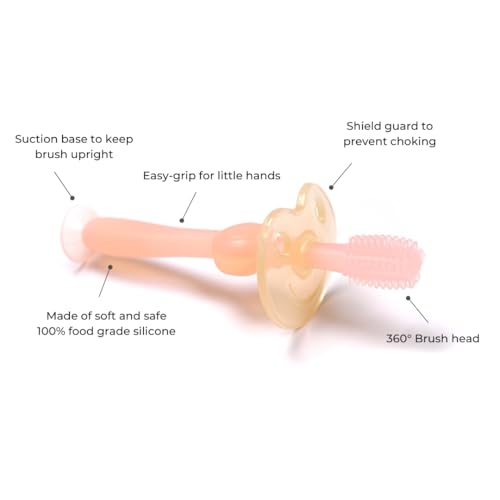 Haakaa 360° Silicone Baby Toothbrush – 100% Soft Food Grade Silicone, BPA-Free, Suction Base, Safe for Babies 6 Months+, Gentle Gum and Teeth Cleaning for Infants, Gum Massager (Pink)