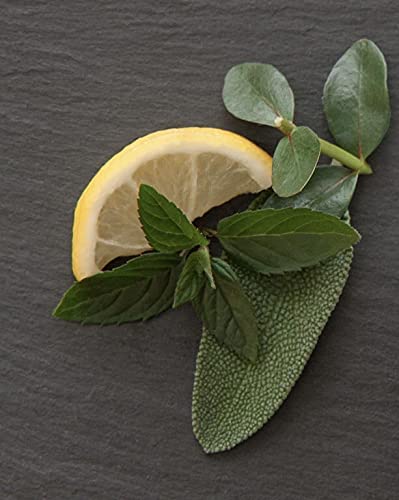 Breathe Clear Aromatherapy Sinus Inhaler With Essential Oil Pack of 2- Personal Diffuser Sniffer stick