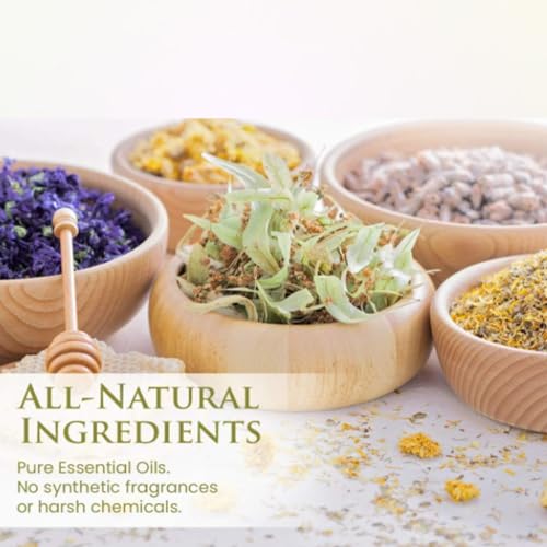 Cucumber Melon Soft & Fresh Women’s Body Mist, Fine Fragranced Body Perfume Misting Spray, Sensual light scent Fragrance, Hair & Body Spritz Essential Oils 6oz.