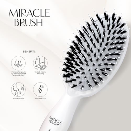 Hairtamin Hair Brush for All Hair Types | Paddle Brush for Blow Drying, Detangling, and Straightening | Anti-Static, Lightweight, and Ergonomic Design | Hair Brush for Men, Women, Kids, and Pets