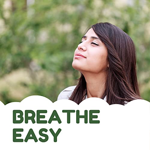 Breathe Easy Aromatherapy Shower Bombs (5PK XTRA STRENGTH) – Menthol, Peppermint, Rosemary & Other Essential Oils Helps Ease Sinus, Colds, Cough, Congestion | Relaxing Christmas Gift Idea