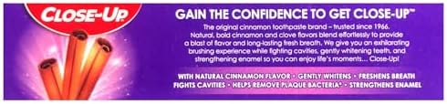 Close-Up Cinnamon Anticavity Flouride Toothpaste 6 Ounce (Pack of 4)