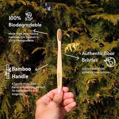 Boar Bristle & Bamboo Toothbrush (4 Pack) - Authentic Boar Bristles - Biodegradable - Plastic Free - Bamboo & Boar Bristle