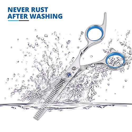 Hair Scissors –Stainless Steel Precision Kit for Dry & Wet Hair(10pc)