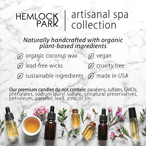 Hemlock Park Lavender Artisanal Spa Gift Box | Apothecary Candle, Shea Butter Soap, Bath Bomb, Mineral Salt Bath Soak | Handcrafted with Plant Based Ingredients