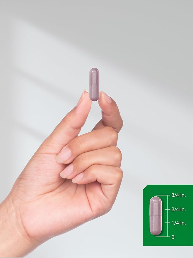 Horbäach Bilberry Fruit Extract 1200mg | 100 Capsules | Vegetarian, Non-GMO, Gluten Free Supplement