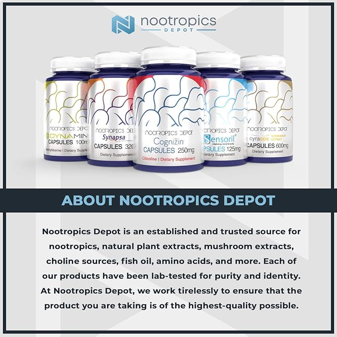 High Potency Milk Thistle Extract Capsules | 200mg of Silymarins from Silybum marianum | 120 Count