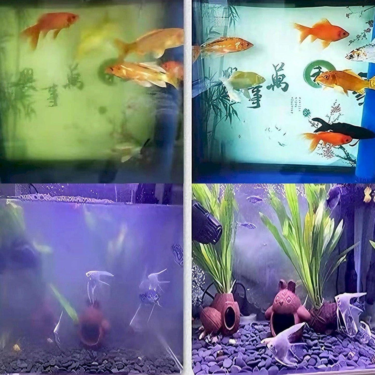 Clearance Kitchen Advanced Polymer Water Purification Tablets For Aquariums Effective Water Clarity & Odor Removal 35G Home And Kitchen Kitchen Decor