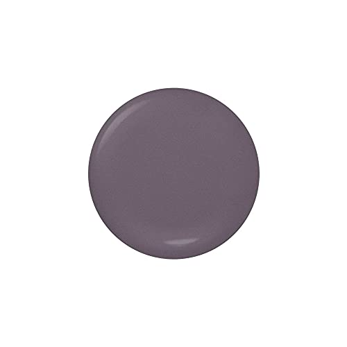 Dazzle Dry Nail Lacquer (Step 3) - Anticipation - An opaque dark slate gray with purple undertones. Full coverage cream. (0.5 fl oz)