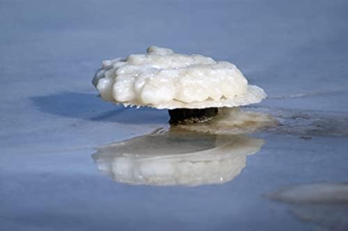 Dead Sea Salts for Soaking, Mineral Salt for Bath, Spa, Shower – More Minerals Than Epsom Salt, Pure and Natural Bath Salt for Foot Soak, Fine Salt Mined from Dead Sea