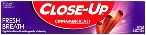 Close-Up Cinnamon Anticavity Flouride Toothpaste 6 Ounce (Pack of 4)