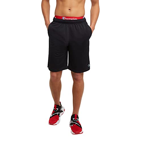 Champion mens 10" Core Training athletic shorts, Surf the Web, X-Large US