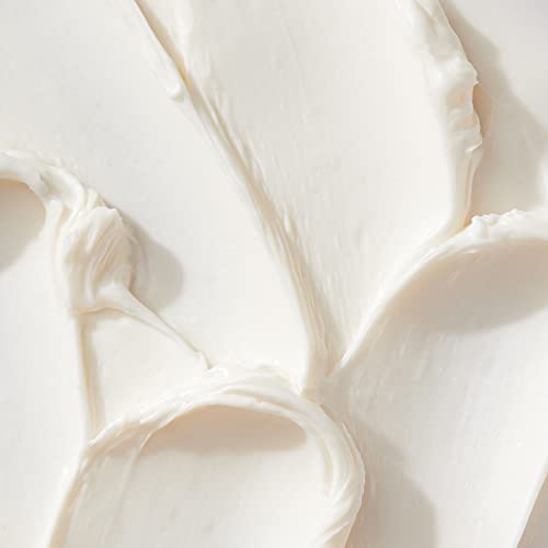 DAE Monsoon Moisture Mask - Intense Hydration, Leaves Hair Glossy & Smooth, Strengthens Elasticity, Helps Prevent Damage (8 oz)