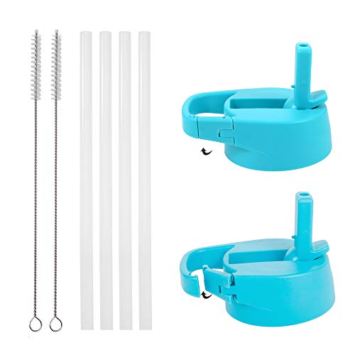 IRON °FLASK Carabiner Straw Lid for Wide Mouth Insulated Sports Water Bottles, Simple BPA Free, 2 Lids, 4 Straws, 2 Cleaning Brushes (Aquamarine)