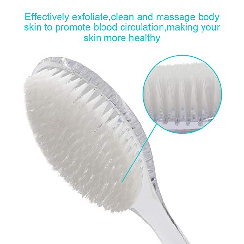 Body Dry Brushing Back Scrubber With Curved Plastic Long Handle - Clear Bath Shower Brush for Dry Skin Exfoliating, Cellulite - for Men and Women (Transparent Handle)