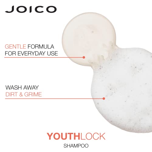 Joico YouthLock Shampoo & Conditioner Set Formulated with Collagen | Youthful Body & Bounce | Reduce Breakage & Frizz | Free of SLS/SLES Sulfates