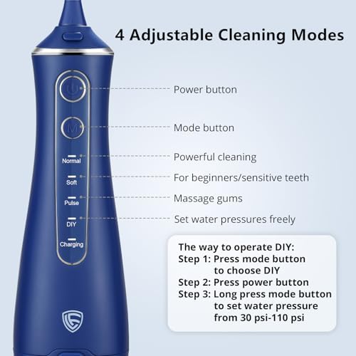 LF Water Flosser for Teeth Cleaning and Flossing Pick, DIY 4 Modes Rechargeable Cordless Oral Irrigator, IPX7 Waterproof Portable Electric Dentel Flossers for Home and Travel, Blue