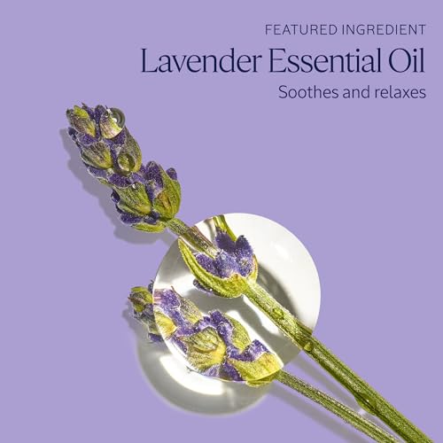 L'OCCITANE Foaming Bath: Relaxing Lavender, Comforting Shea, Beautifying Almond Milk, Citrusy Verbena, Cleansing Bubble Bath, 16.9 Fl. Oz