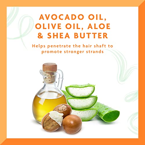 Cantu Avocado Hydrating Leave-In Conditioning Cream, 12 oz (Pack of 2)