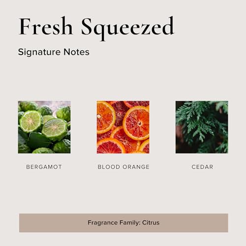 BROKEN TOP - Roll On Perfume | Essential Oil Perfume | Jojoba & Essential Oil Eau de Parfum | Natural, Vegan (Fresh Squeezed)