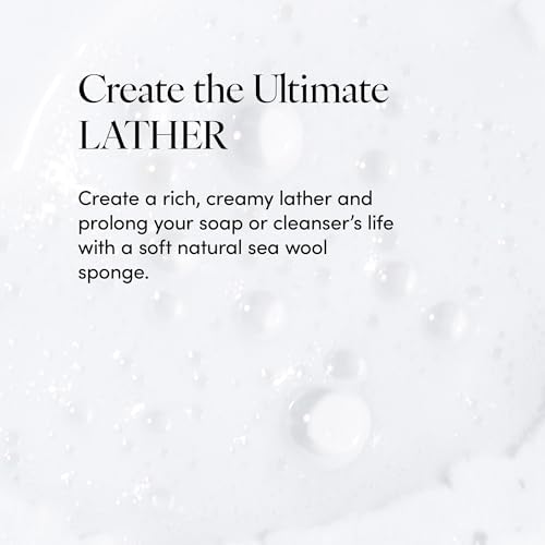 LATHER - Natural Sea Wool Sponge, 5-6" - Organic Exfoliating Body Scrubber - Soft, Gentle Cleansing - Hypoallergenic - All Skin Types - Florida Natural Loofah Sponge - Cruelty Free - Beauty & Skincare