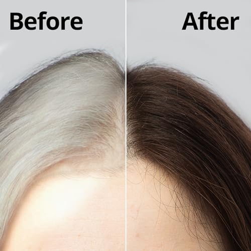 Daeng Gi Meo Ri – Korean Herbal Hair Dye Color Cream [Natural Brown] - PPD-Free Gray Coverage, Hair Protection, High-Keratin Formula, 5 Oz