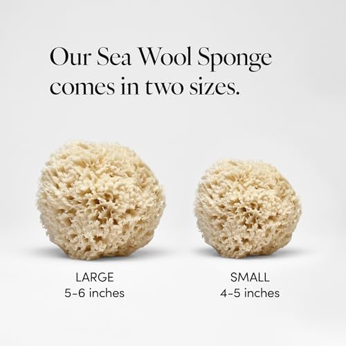LATHER - Natural Sea Wool Sponge, 5-6" - Organic Exfoliating Body Scrubber - Soft, Gentle Cleansing - Hypoallergenic - All Skin Types - Florida Natural Loofah Sponge - Cruelty Free - Beauty & Skincare