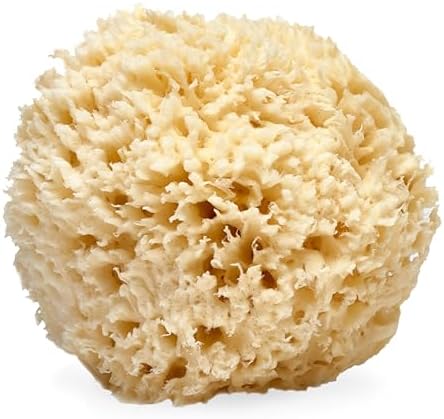 LATHER - Natural Sea Wool Sponge, 5-6" - Organic Exfoliating Body Scrubber - Soft, Gentle Cleansing - Hypoallergenic - All Skin Types - Florida Natural Loofah Sponge - Cruelty Free - Beauty & Skincare