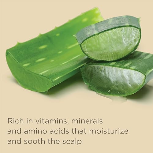 Hairitage Color Check Moisturizing Shampoo and Conditioner Set, UV Protection for Color Treated Hair, Prevent Color Washout, Fading, 13oz each (26oz total)