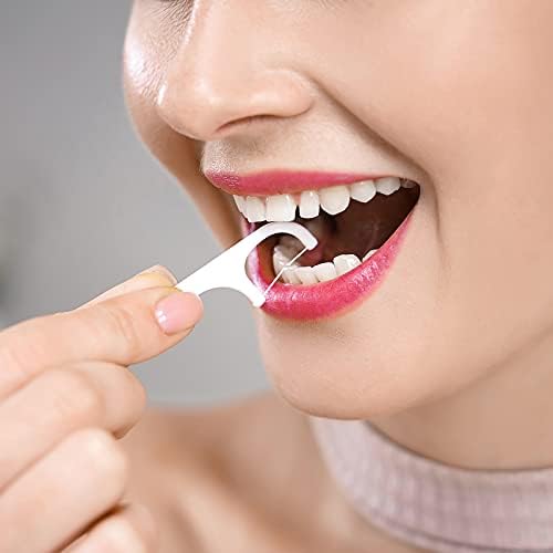 Holy Rose Dental Floss Dispenser 2 Box, Floss Picks Micro Portable Case 2 Boxs,with Adults Floss Sticks 196 Count,Flossers Toothpicks Sealed Storage Perfect forFamily,Hotel,Travel for Clean Teeth.