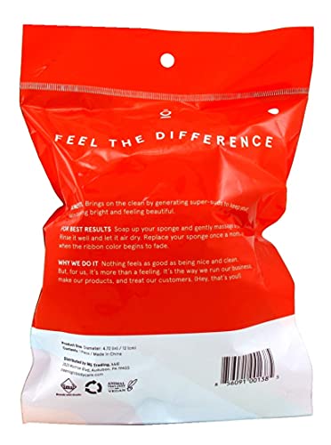 Cleanlogic Mesh Bath Sponge 50g Assorted Colors (Pack of 6)