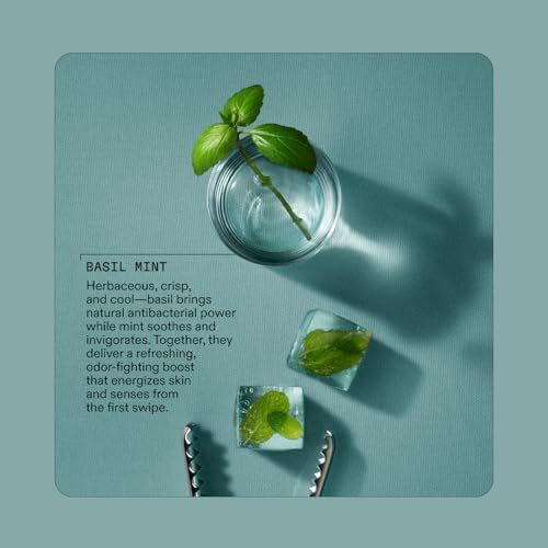 Cleo+Coco - Natural Dry Shampoo Powder - For Body & Hair - For Women - Absorbs Odor & Sweat - Essential Oils & Arrowroot Powder - Free of Talc & Parabens - PCR - Made in USA - Basil Mint - 4oz