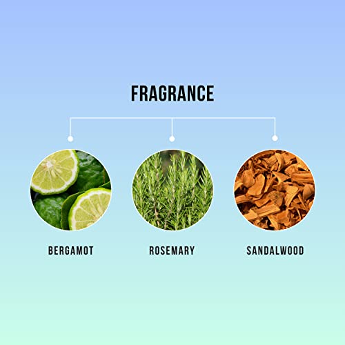 HASK Invigorating TEA TREE OIL 5-in-1 Leave In Conditioner Spray for all hair types, color safe, gluten free, sulfate free, paraben free - TEA TREE 2 PIECE SET