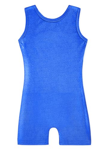 HOZIY Gymnastics Leotards for Girls 5t Size 5-6 Years Toddlers Little Girl Biketards Unitards Dance Tumbling Outfits Solid Color Blue Sparkly Shiny