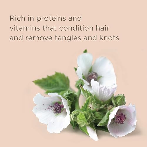 Hairitage Pass on the Brass Purple Shampoo and Conditioner for Color-Treated Hair - Corrects Brassy Tones, Moisturizes Blonde and Gray Hair Ends - 13 oz