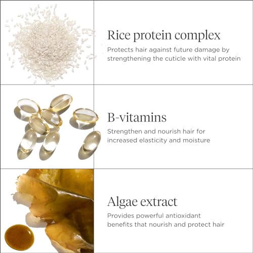 Briogeo Don't Despair, Repair! Megastrength+ Rice Water Protein Treatment, Moisture Strengthening Hair Treatment, Dry and Damaged Hair, Vegan, Cruelty-Free, 5 fl oz