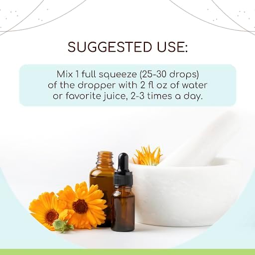 Dandelion Root B120 Alcohol-Free Herbal Extract Tincture, Super-Concentrated Dandelion (Taraxacum Officinale) Dried Root (4 fl oz)