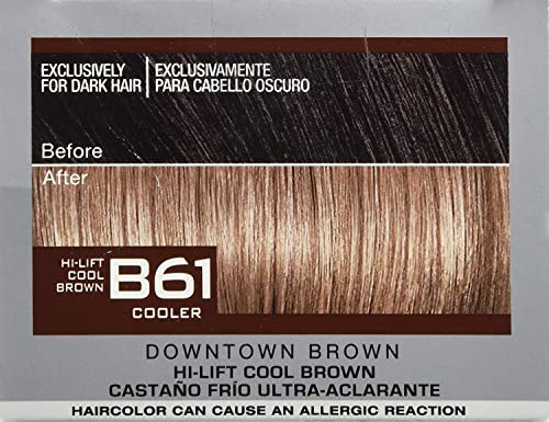 L'Oreal Paris Feria Multi-Faceted Shimmering Permanent Hair Color, B61 Downtown Brown, Hair Dye Kit, Pack of 2