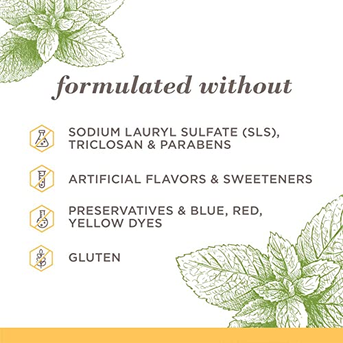 Burt's Bees Toothpaste, Natural Flavor, Fluoride-Free, Purely White, Zen Peppermint, 4.7 oz, Pack of 3