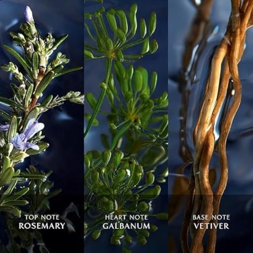 Davidoff Cool Water Reborn Eau de Toilette – Woody Men's Cologne – With Notes of Rosemary, Galbanum & Vetiver – Long Lasting Fragrance