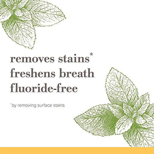 Burt's Bees Toothpaste, Natural Flavor, Fluoride-Free, Purely White, Zen Peppermint, 4.7 oz, Pack of 3