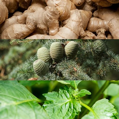 Calvin Klein Eternity Aqua For Him Deodarant Spray 5.4 fl oz