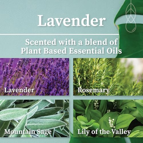 Hemlock Park Lavender Artisanal Spa Gift Box | Apothecary Candle, Shea Butter Soap, Bath Bomb, Mineral Salt Bath Soak | Handcrafted with Plant Based Ingredients