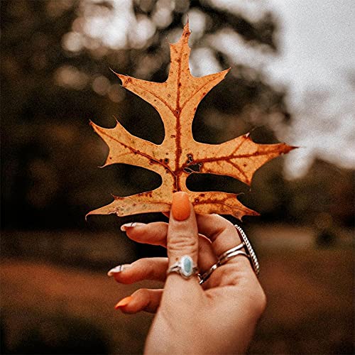 Dazzle Dry Mini Kit 4 Step System - Oh My!, a bright melon full coverage cream. Full coverage cream. (5 Piece Kit / 5 Manicures)