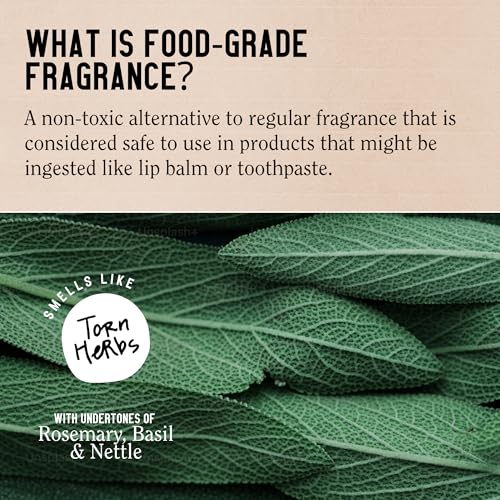 California Naturals Mens Re:GRO Shampoo for Hair Growth Support, Hair Care & Scalp Care with Biotin, All Hair Types, Vegan, Natural, Cruelty Free, Silicone, Paraben & Sulfate Free, for Men, 16.5 oz