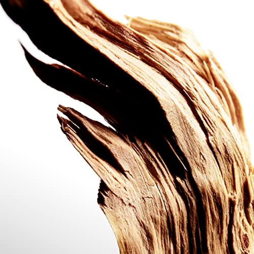 Davidoff Cool Water Wave Eau de Toilette – Fresh Woody Men's Cologne – With Notes of Sichuan Pepper, Juniper & Sandalwood – Long Lasting Fragrance