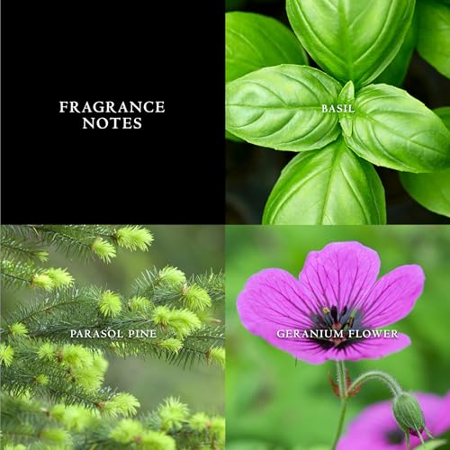 John Varvatos Men's Cologne, Artisan Blu Eau de Toilette EDT Spray, Marine Water Fougere Scent with Notes of Basil, Pine & Geranium