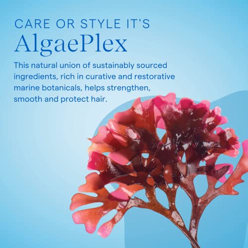 Aquage Sea Salt Texturizing Spray, Unisex, Hair Spray, 8 oz.