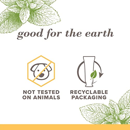 Burt's Bees Toothpaste, Natural Flavor, Fluoride-Free, Purely White, Zen Peppermint, 4.7 oz, Pack of 3