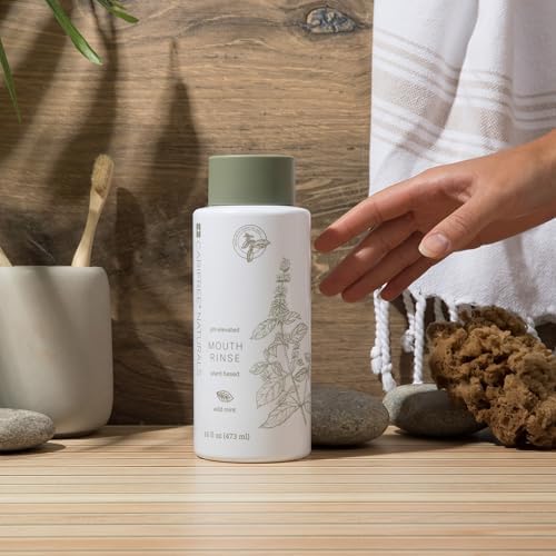CariFree Naturals Mouth Rinse | pH Elevated, Fluoride-Free, with Magnolia Bark & Essential Oils, Organic Ingredients, Alcohol-Free, Dentist Recommended, Made in The USA, Wild Mint Flavor, 16 fl oz